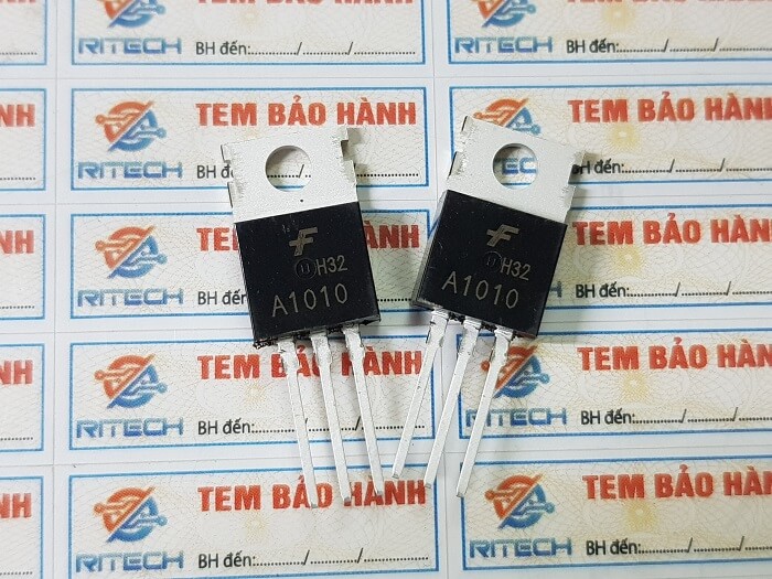 A1010