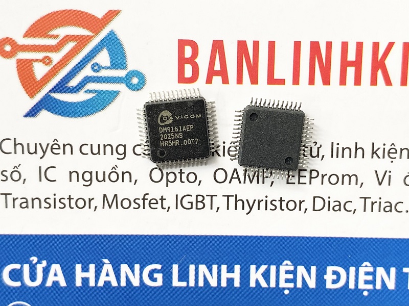 DM9161AEP-IC