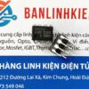 IC nguồn IR2101