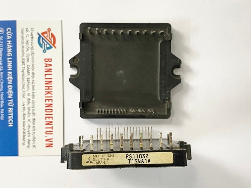 PS11032