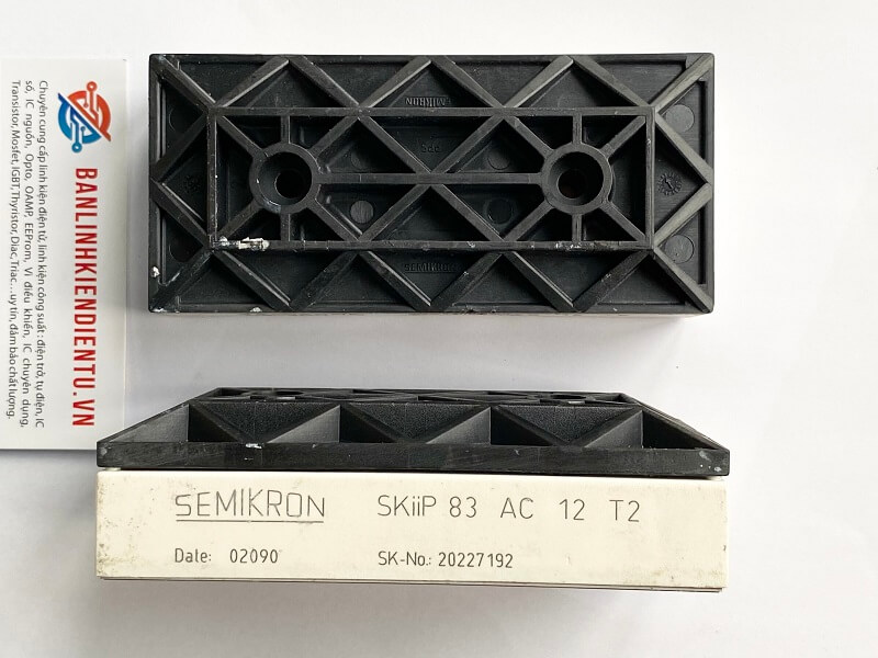 SKiip83AC12T2