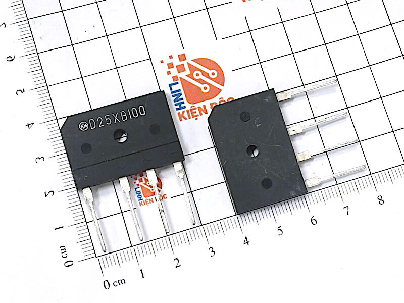 D25XB100