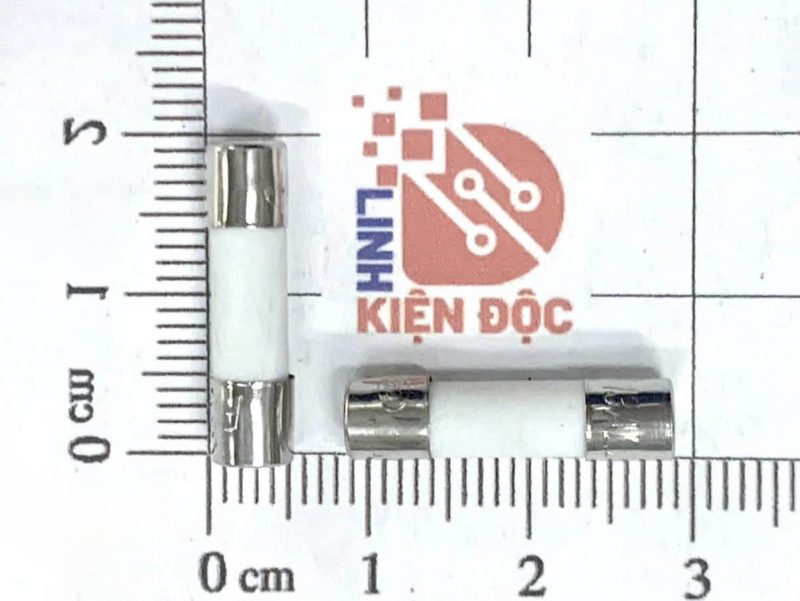 cầu chì 13A